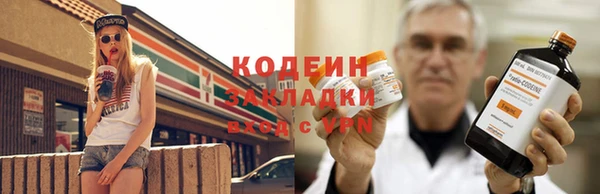 дживик Вязьма