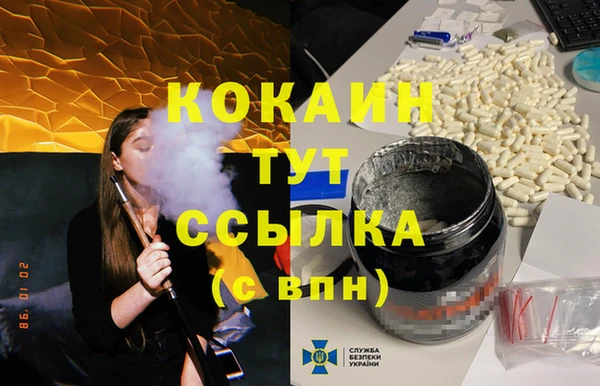 дживик Вязьма