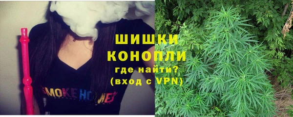 дживик Вязьма