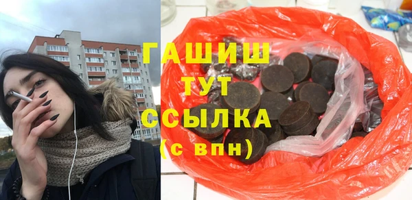 шишки Горно-Алтайск