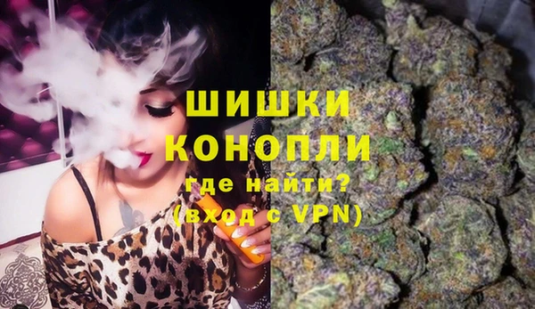 прущие крисы Вяземский