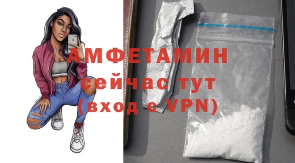 шишки Горно-Алтайск