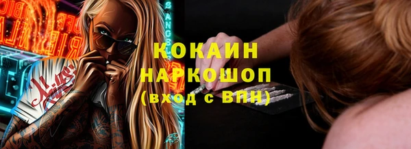 индика Вязники