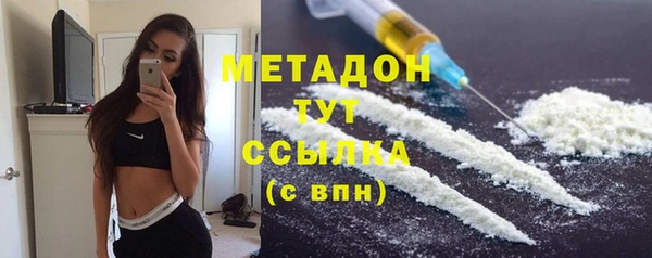 шишки Горно-Алтайск
